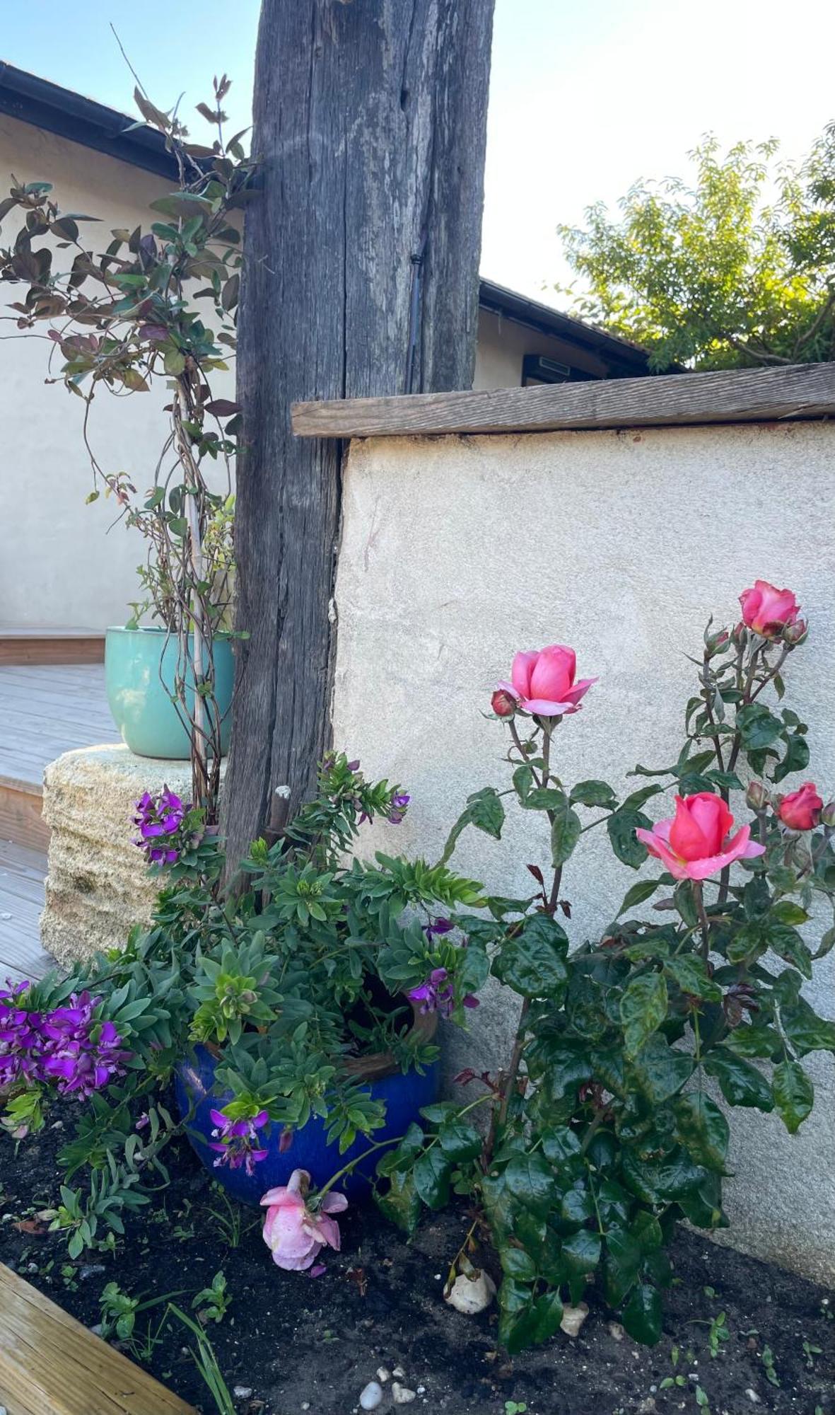 Instant Zen Bed & Breakfast Saint-Vivien-de-Médoc Екстериор снимка