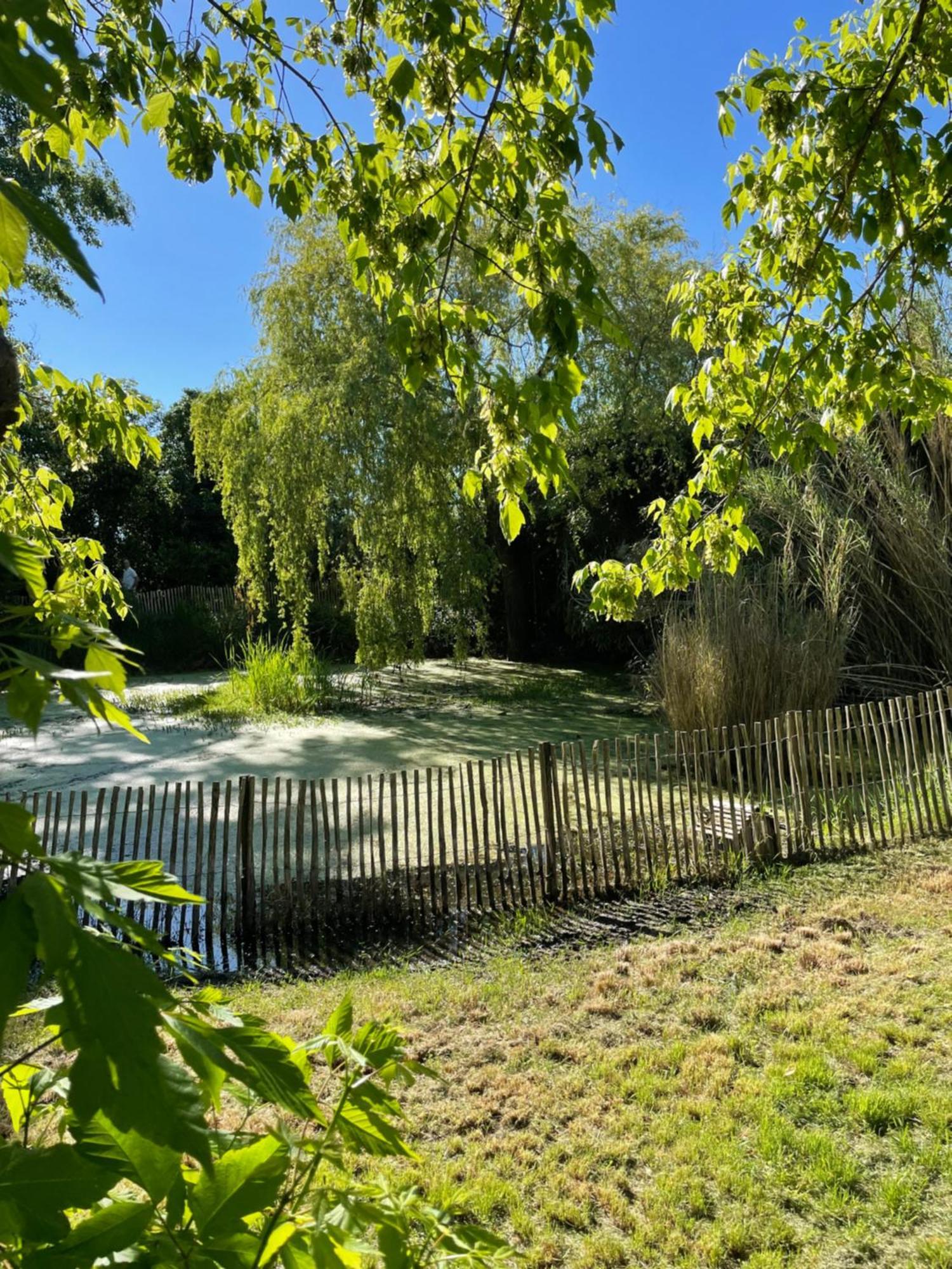 Instant Zen Bed & Breakfast Saint-Vivien-de-Médoc Екстериор снимка